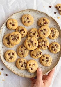 Keto Mini Chocolate Chip Cookies
